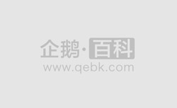 广州荔湾区关于调整部分区域风险等级的通告（第7号）